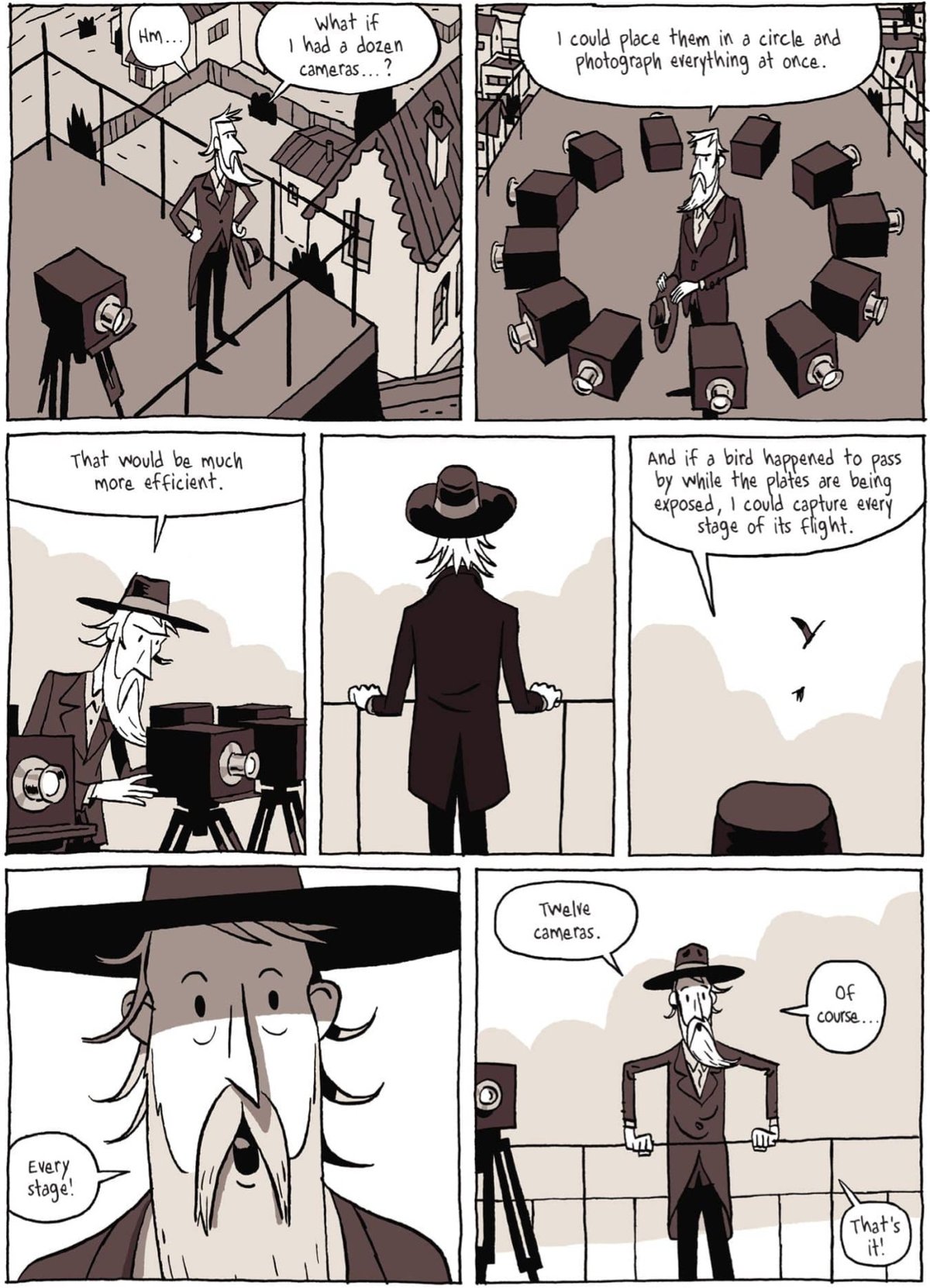a page of the Muybridge graphic novel