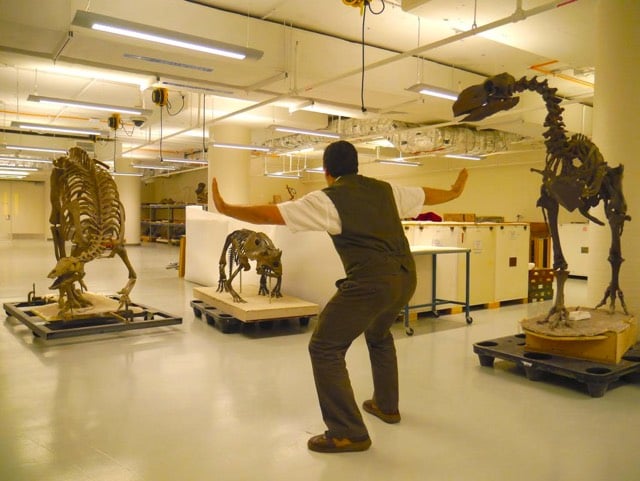 Jurassic Zoo