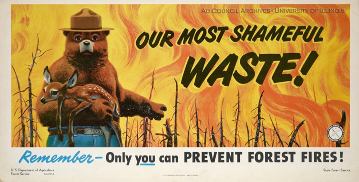a Smokey Bear poster