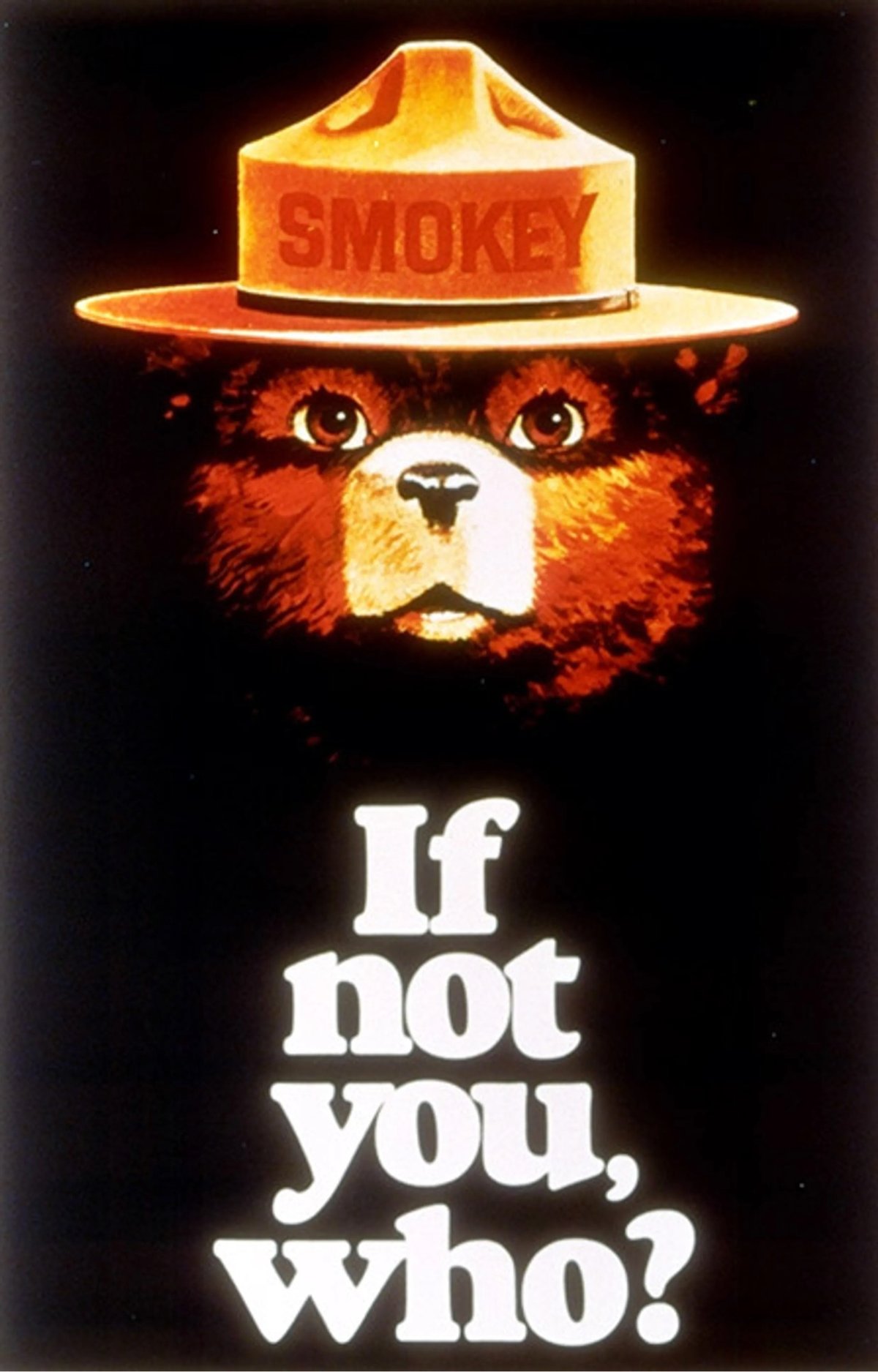 a Smokey Bear poster