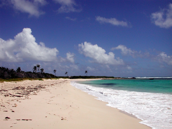 Junk's Hole Bay