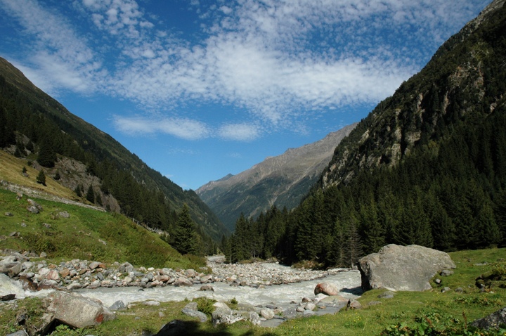 Austrian view