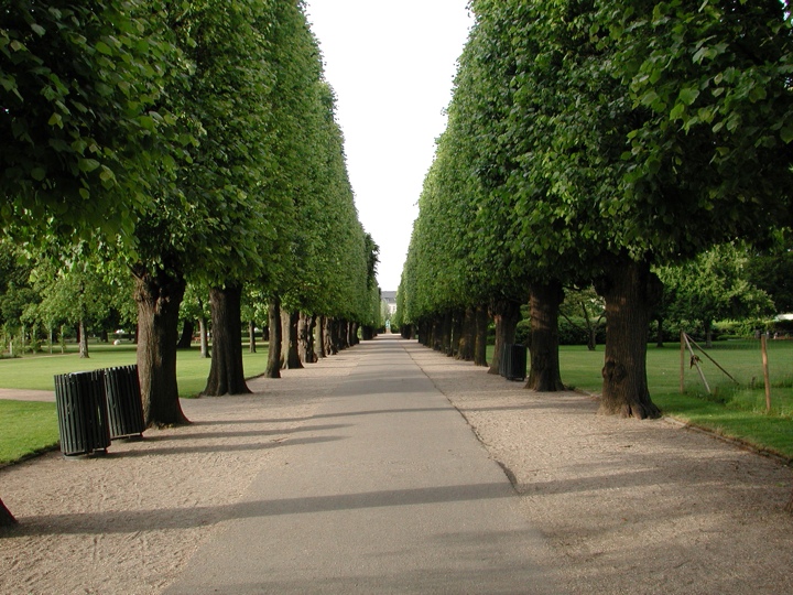 Kongens Have