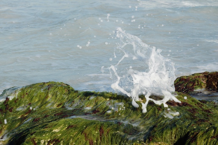 Sploosh