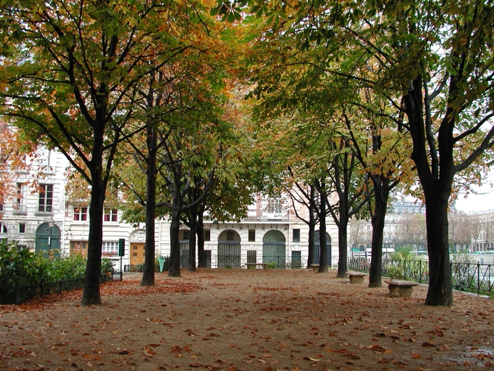 A row of trees