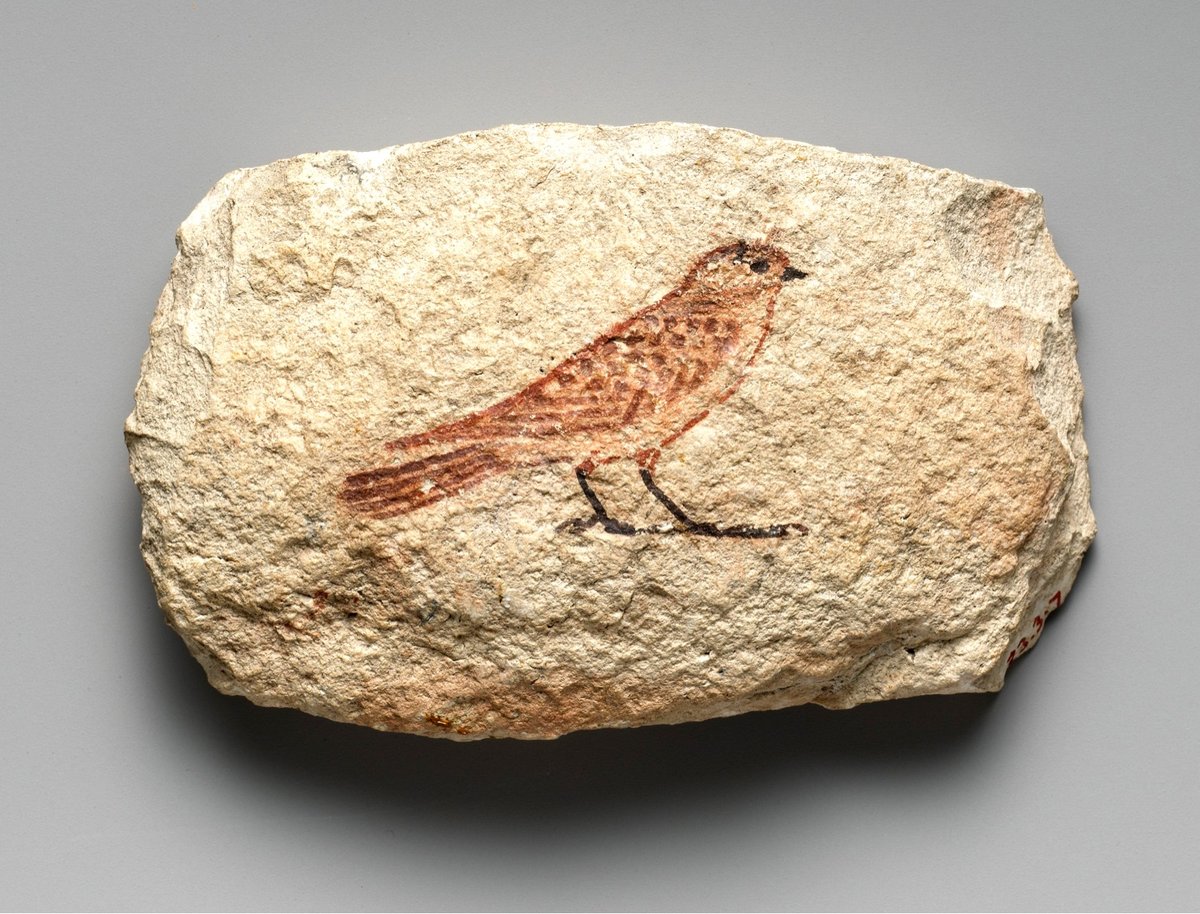 a sparrow drawn on a piece of limestone