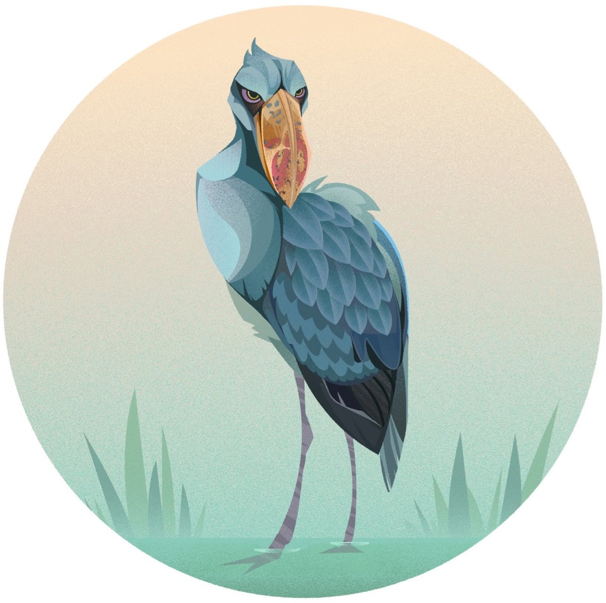 illustration of a blue/gray shoebill stork