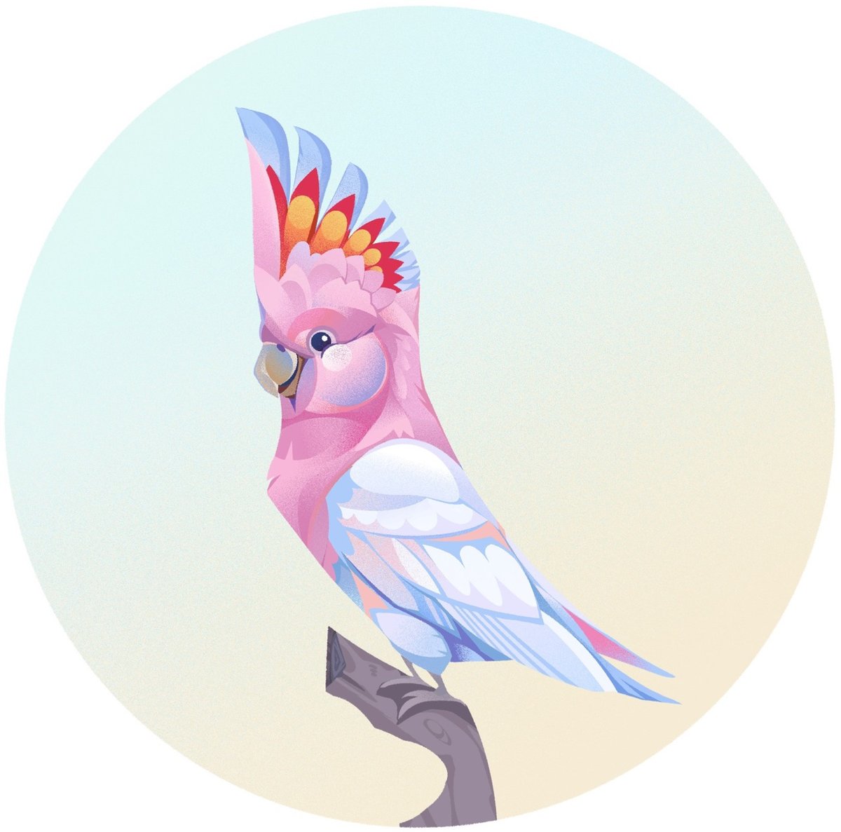 illustration of a colorful Major Mitchell's cockatoo