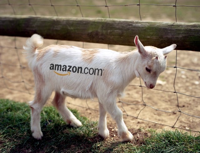 Amazon Goats
