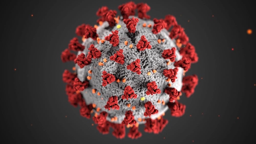 Coronavirus Portrait