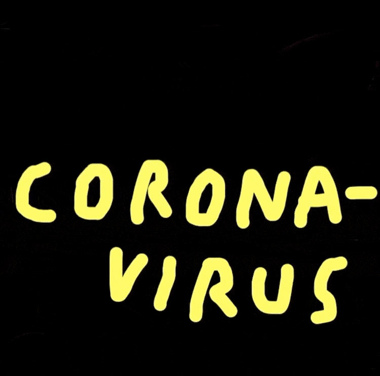 Coronavirus in sign language