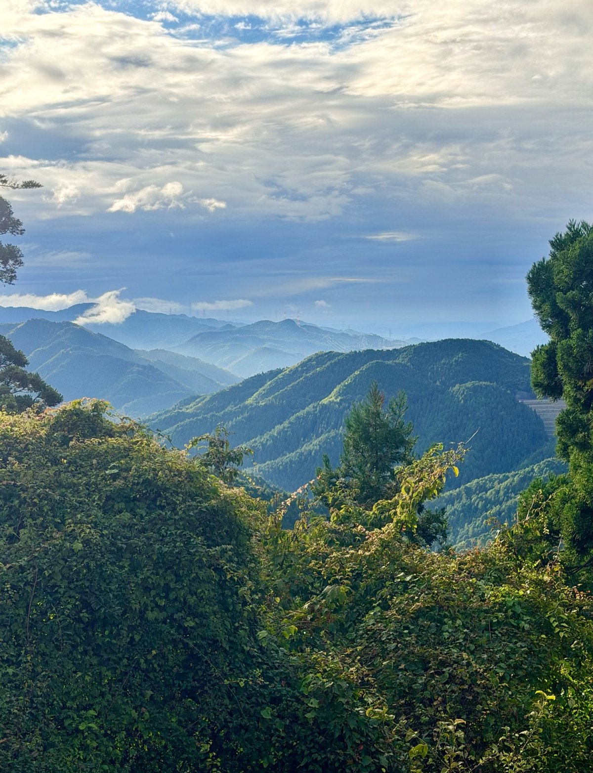 misty & lush tree-covered hills recede into the distance