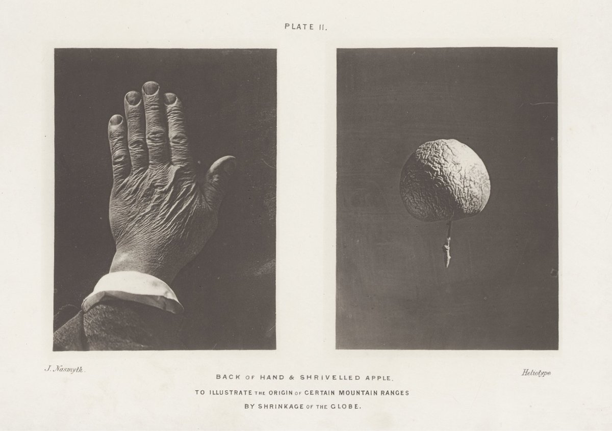 a photograph of the back of a wrinkled hand and a photograph of a shriveled apple