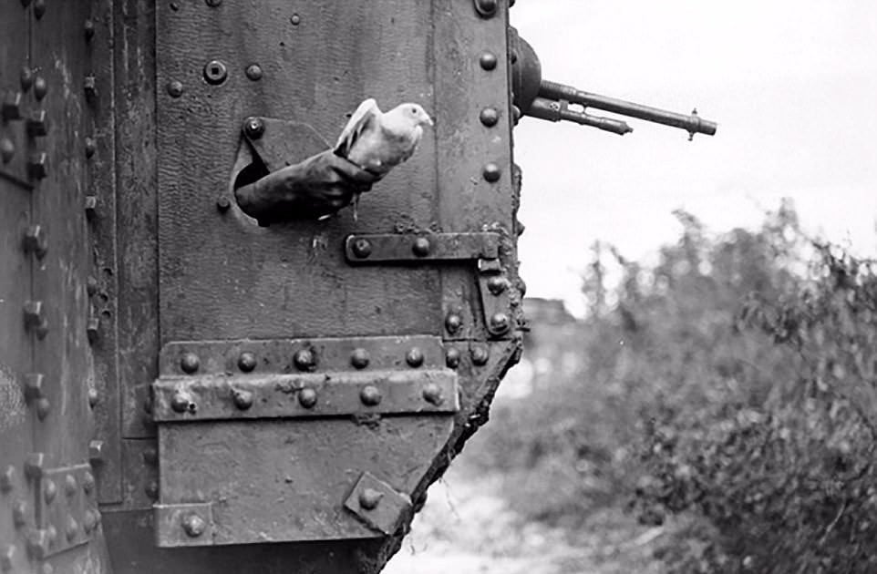 Pigeon Secret Service