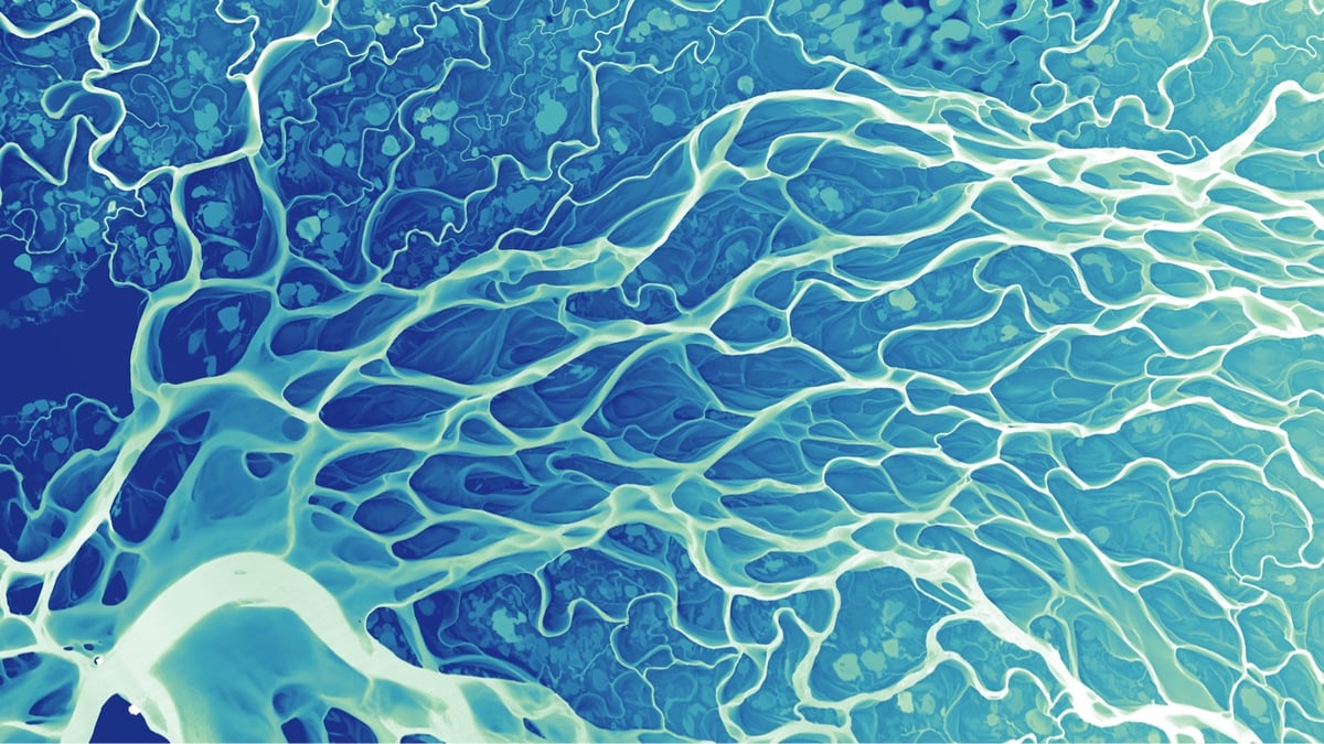 colorful Lidar image of a river delta
