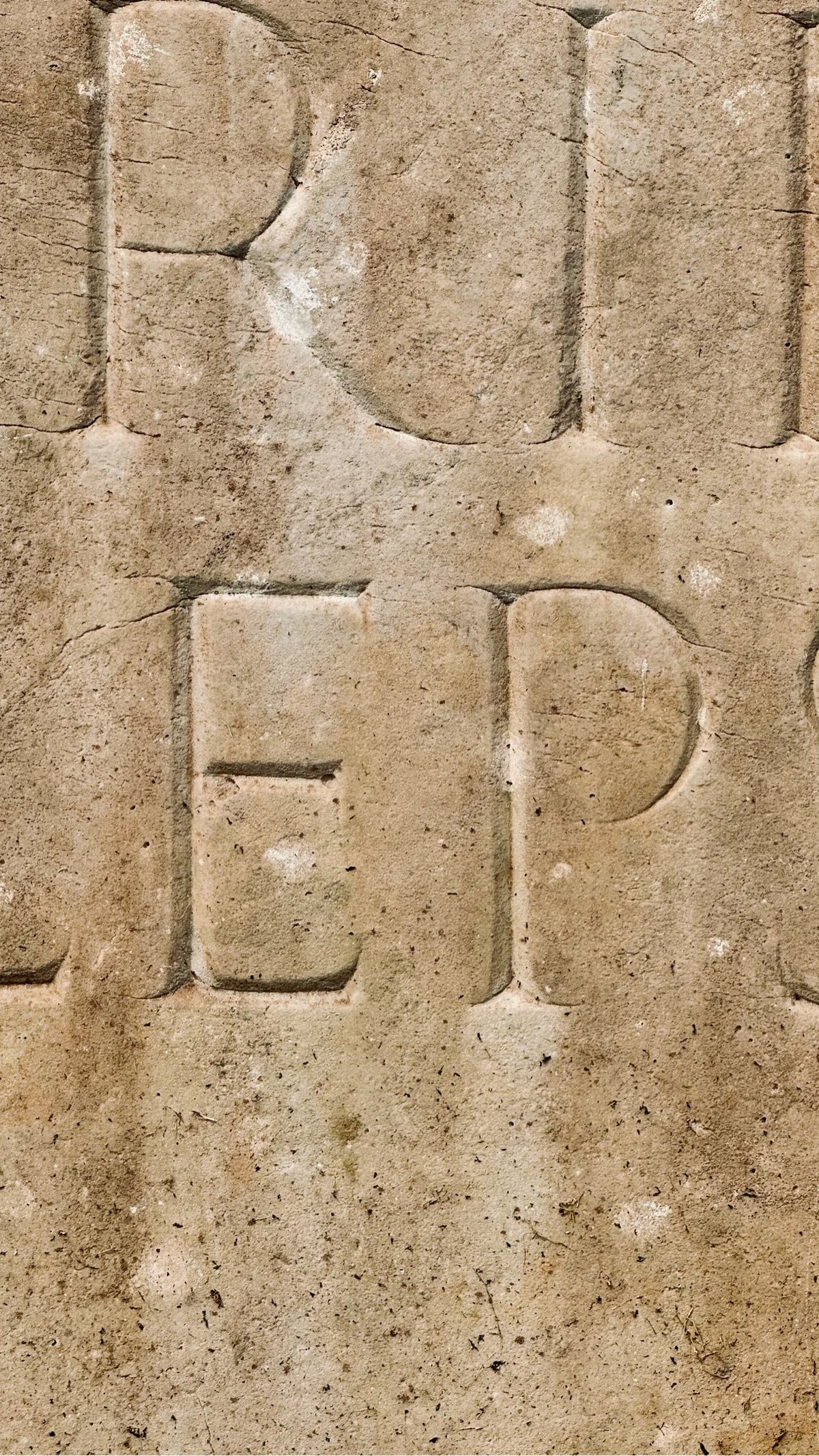 detail of letters carved into stone