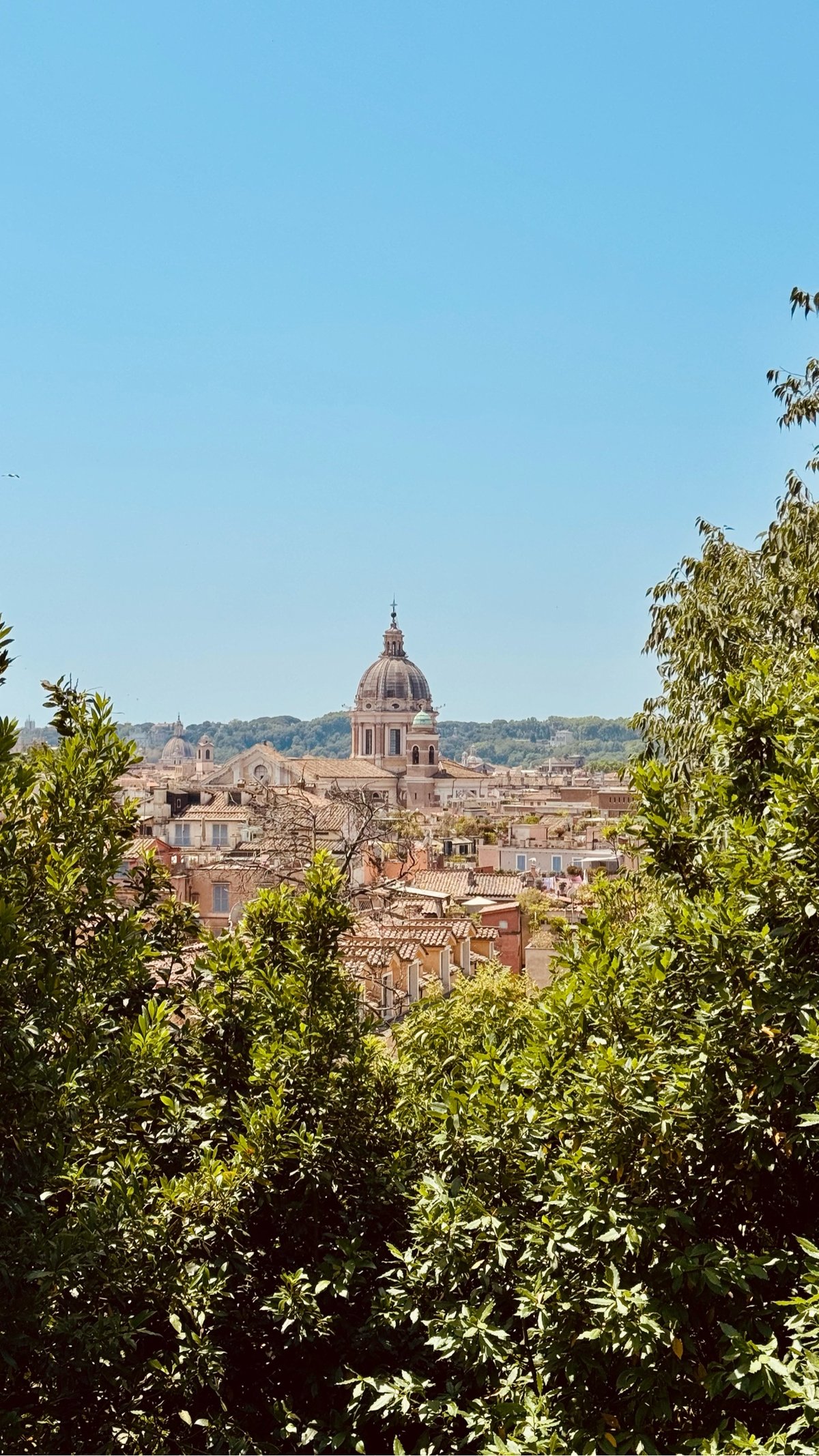 a view of a church dome & steeple through the foliage