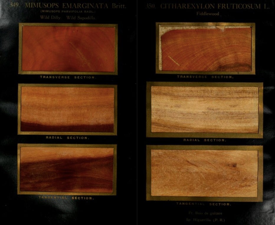 Wood Book