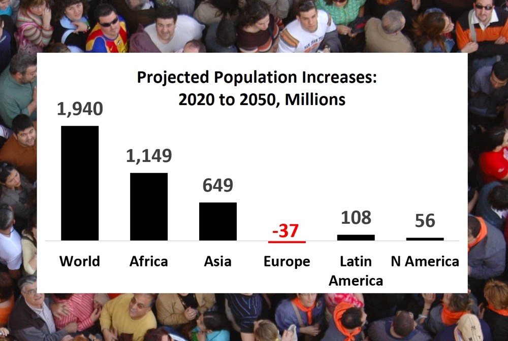 2020 World Population