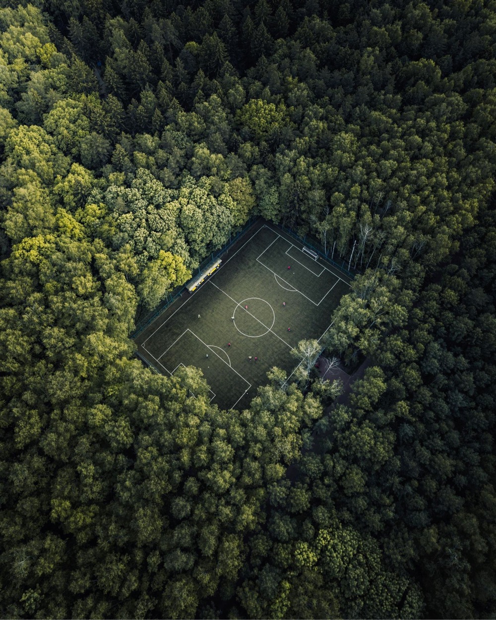 overhead view of a green soccer field in a green forest