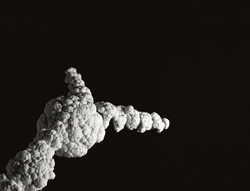 Cauliflower Space Shuttle