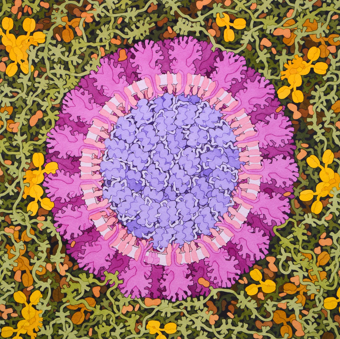 Dazzling Coronavirus Painting By Biologist David Goodsell