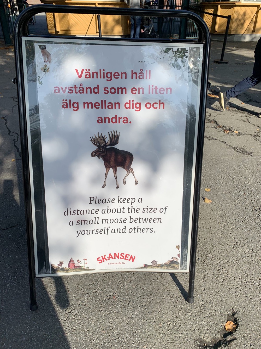 Local social distance signs: a small moose apart