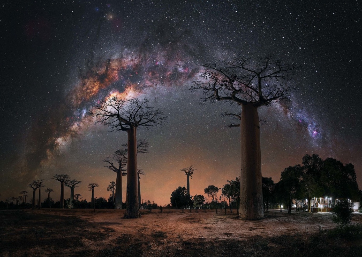 the Milky Way in the night sky over baobab trees in Madagascar