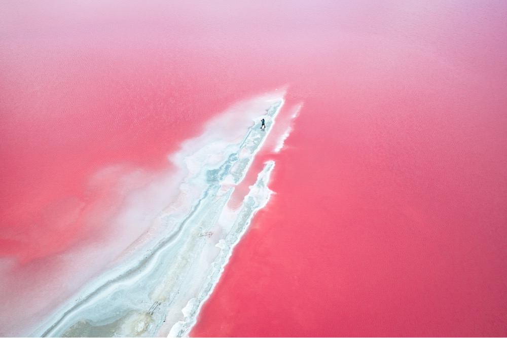 pink salt marsh from overhead