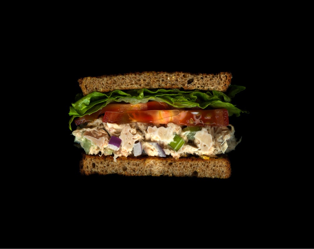 cross-sectional scan of a sandwich