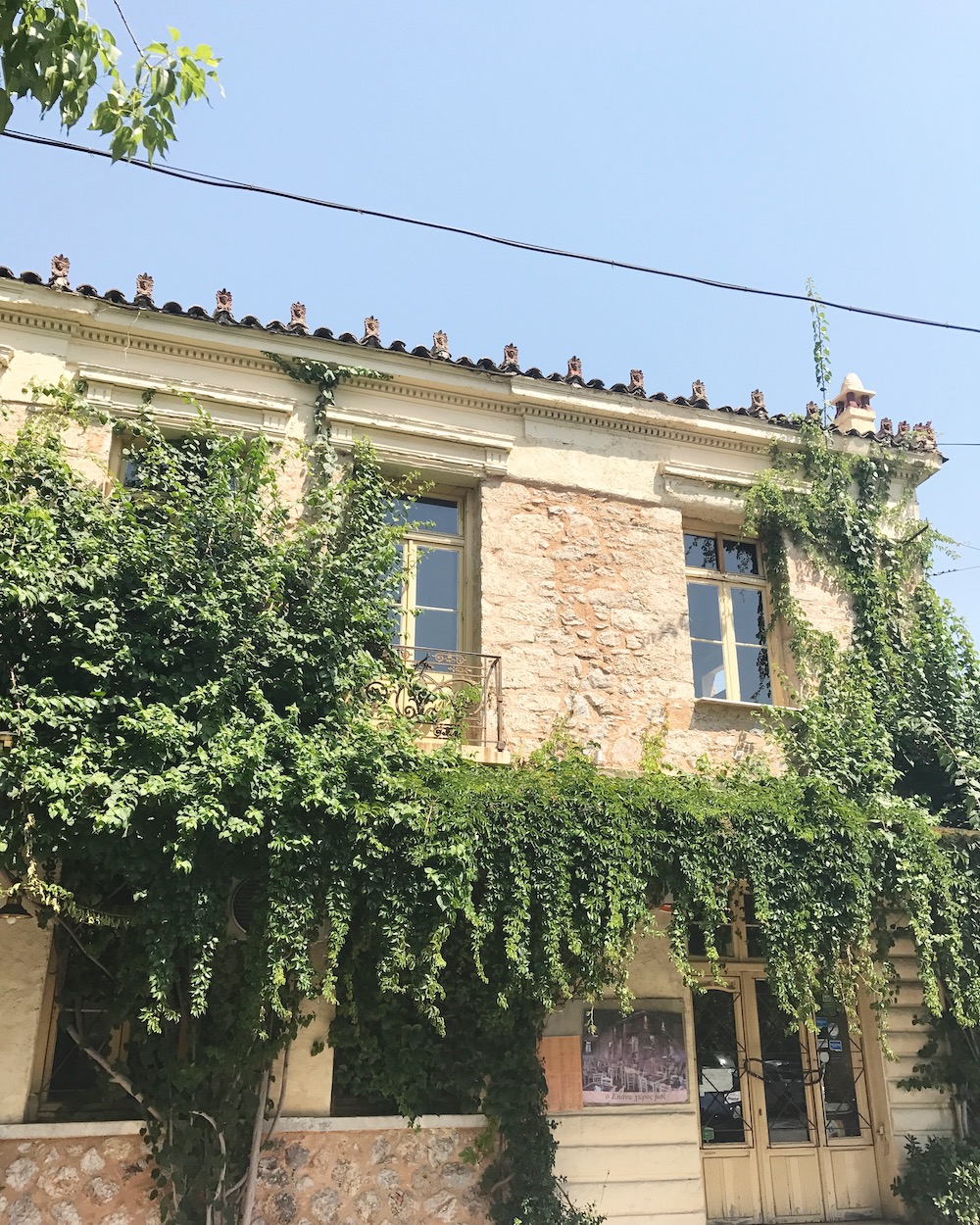 wisteria-in-athens.JPG